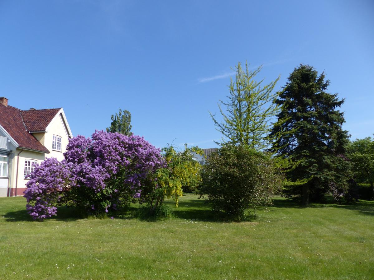 Birkely Bed And Breakfast Stege Exterior photo